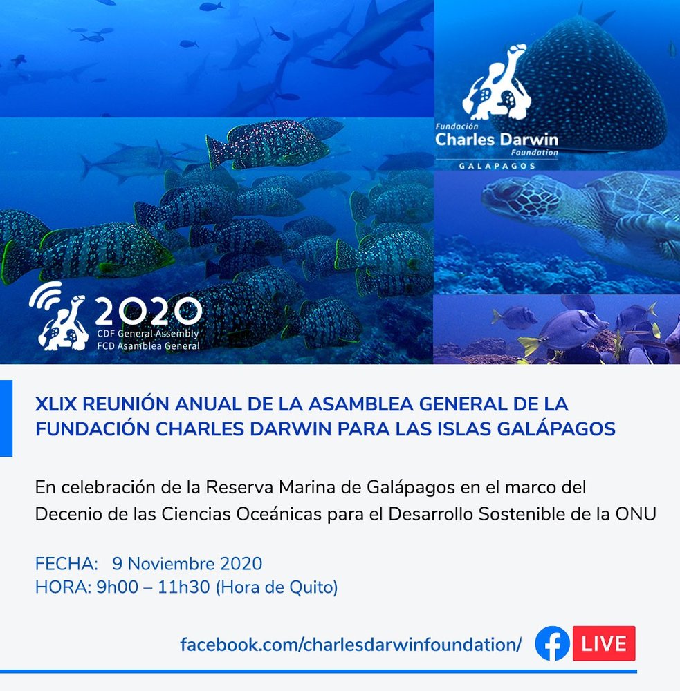 Invitación a la XLIX Asamblea General de la Fundación Charles Darwin 