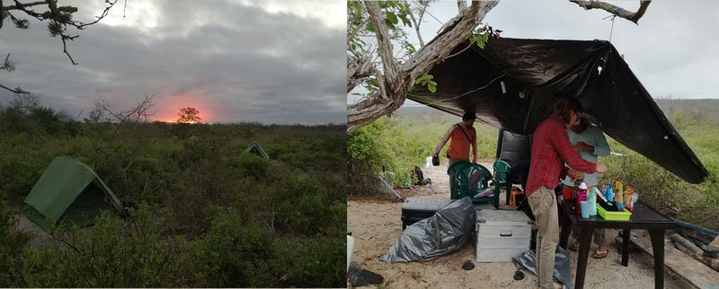 Izquierda: campamento en la playa Manzanillo. Derecha: miembros del equipo en la cocina del campamento