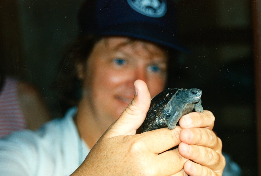 Lars Kabel with a turtle. Photo: Linda Cayot.