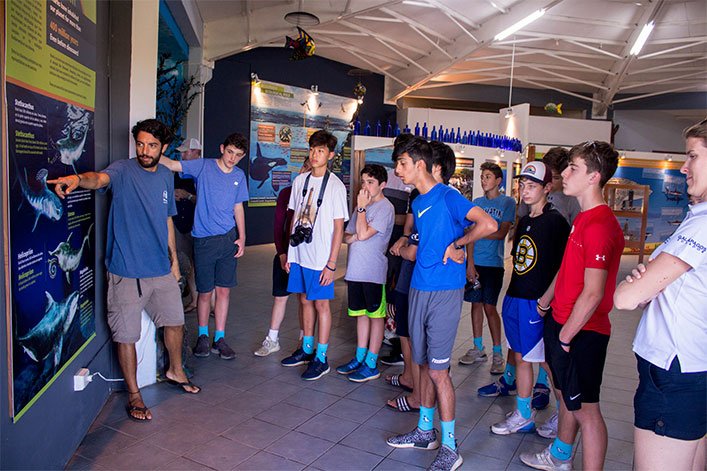 Los estudiantes de Fessenden School en Massachusetts visitan la exhibición del Mundo Marino de la FCD para aprender sobre las diferentes especies de tiburones en Galápagos. La mayoría llevan puestos medias de Blue Feet Foundations
