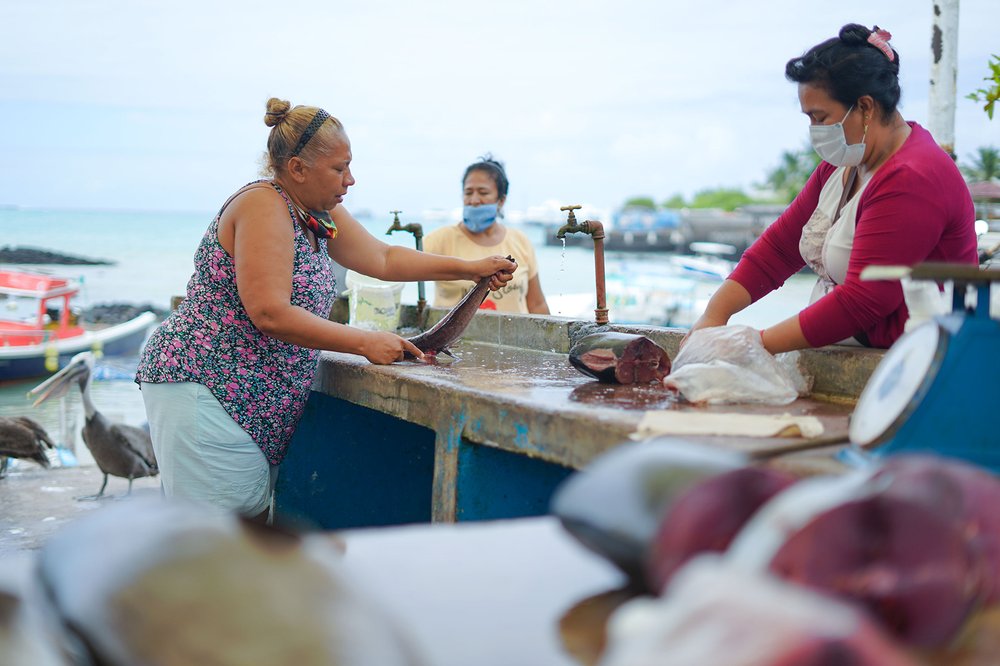 Los servicios ecosistémicos de la Reserva Marina de Galápagos incluyen la provisión de alimentos como el pescado, así como la provisión de otros recursos naturales. 