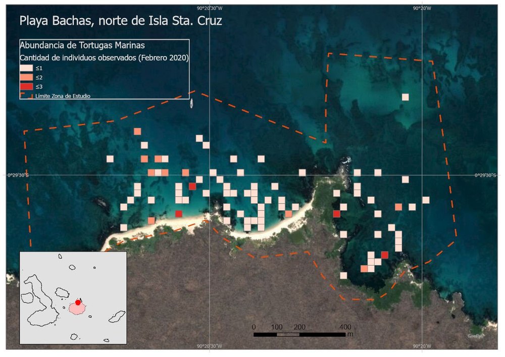 Mapa de abundancia de tortugas en Las Bachas.