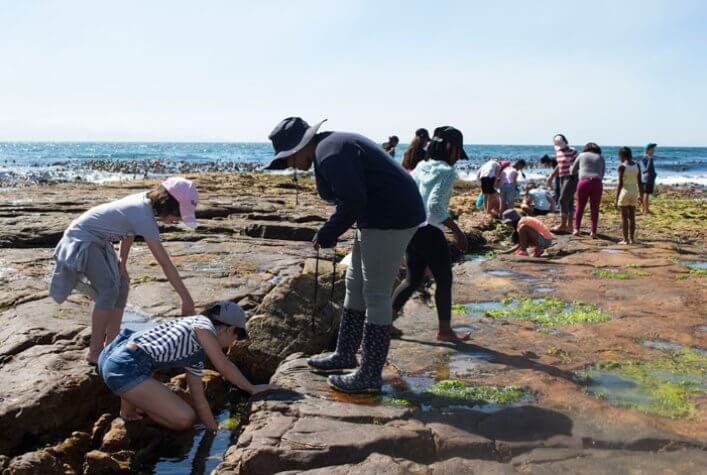 Marine Explorers performing coastal cleaning and rocky shore exploration at False Bay, Cape Town.