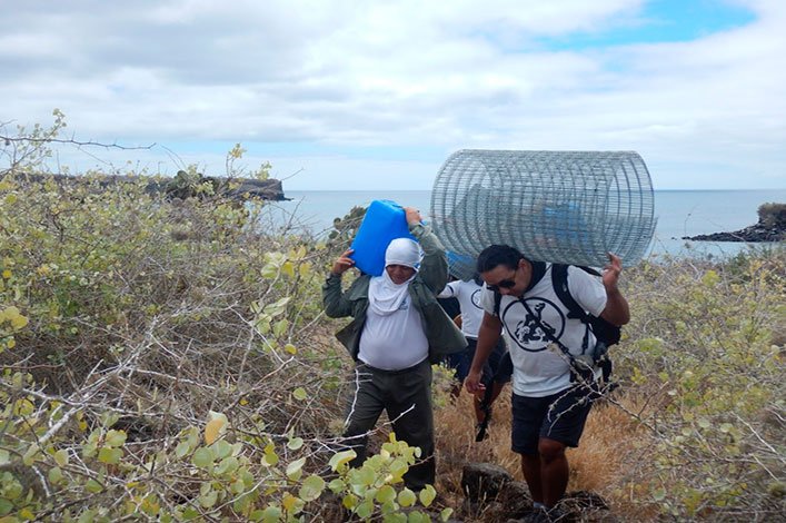 Mobilizing the protective steel fences.