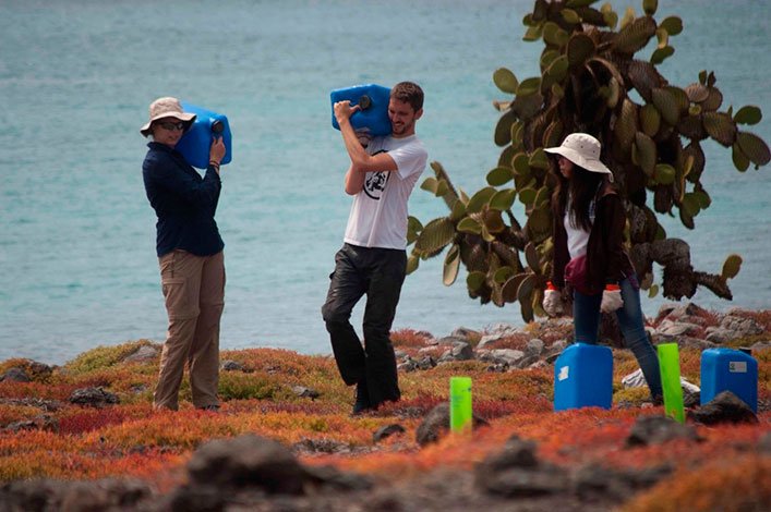 Mobilizing the water containers to specific places on the island.