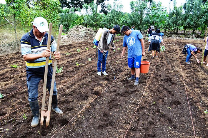 Modulo de Agricultura Sostenible