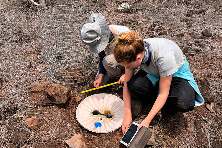 Monitoring and recording the growth of the Opuntia 