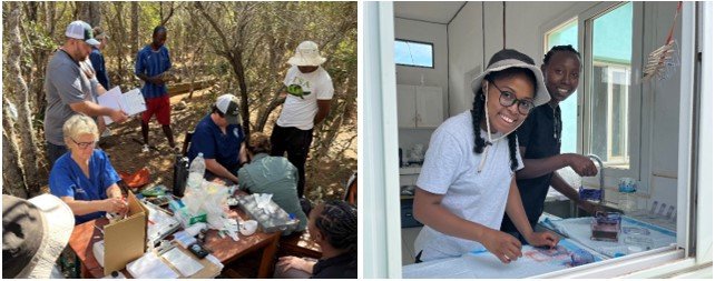 Muestreos de tortugas radiadas en campo (izquierda) y estudiantes locales Janice Athina y Rodhite Mireille procesando muestras en el laboratorio.