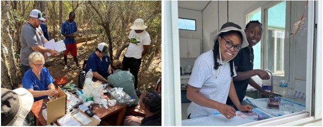 Muestreos de tortugas radiadas en campo (izquierda) y estudiantes locales Janice Athina y Rodhite Mireille procesando muestras en el laboratorio. 