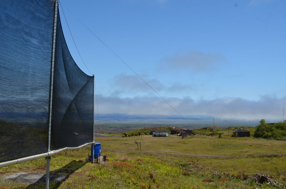 Panoramic view of the Fog Catcher installed in the DPNG control booth at the entrance to the Sierra Negra Volcano. Photo: Carla Zambrano Palacios, CDF.