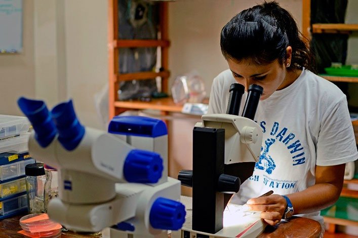 Paola Lahuatte, Junior Scientist, working hard in the lab to find a way to breed the fly.