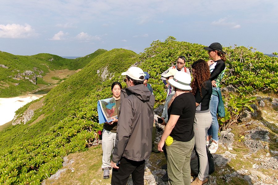 Parque Nacional Ogasawara. Foto: Cortesía Gobierno Metropolitano de Japón.