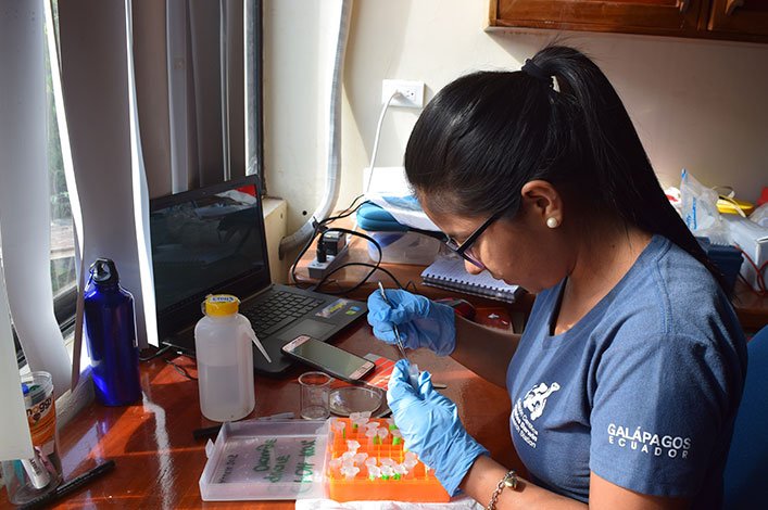 Paulina curando las muestras tomadas en el crucero NA064