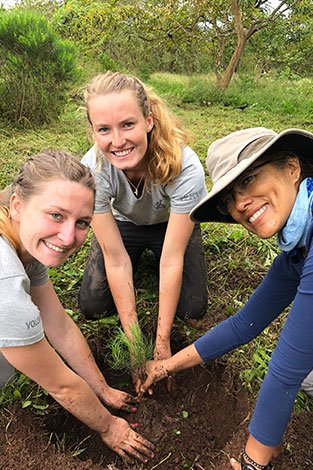 Planting Darwiniothamnus tenuifolius with Cocoon technology Reserva El Chato