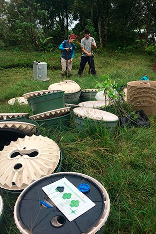 Pre-planting work on Mario Piu’s farm and Chato II. Holes dug for the plants and technologies