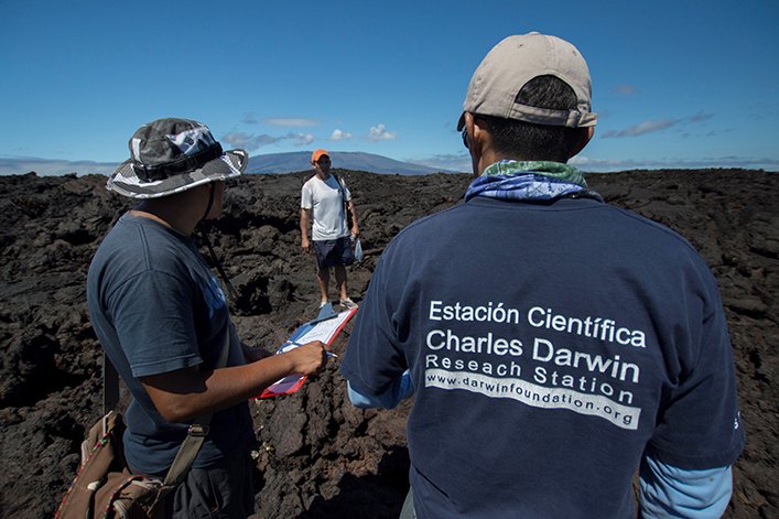 Scientists from the Charles Darwin Foundation monitoring seabirds.