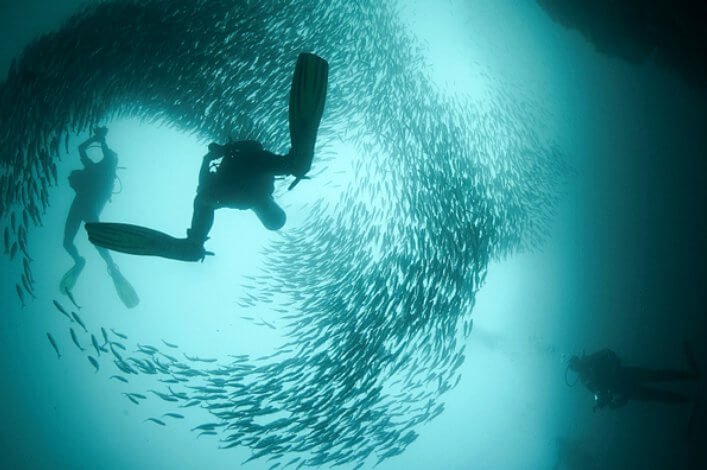 Scuba Diving in the Galapagos Marine Reserve.