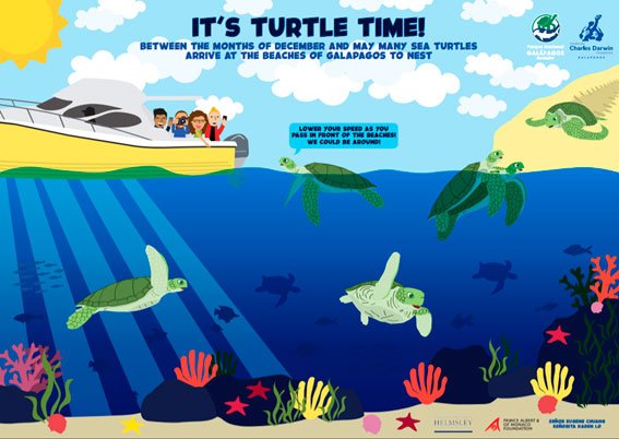 Sea Turtle Poster