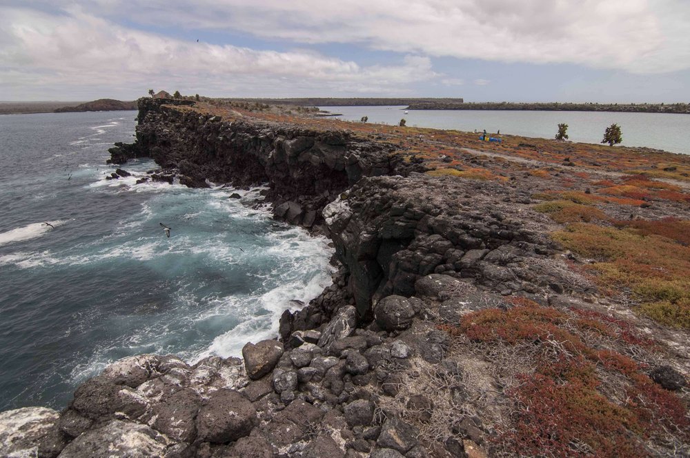 South Plaza Island on restoration process .