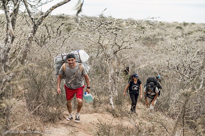 Starting our field trip: team members carrying supplies throughout the arid zone. 