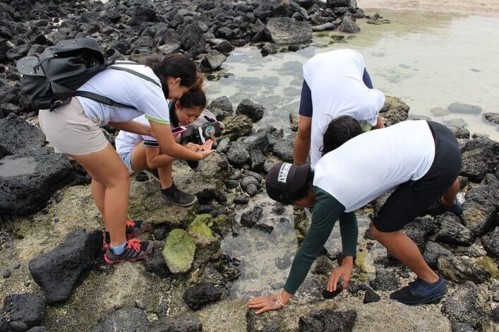 Students looking for stories to tell through photographs on rocky shores.