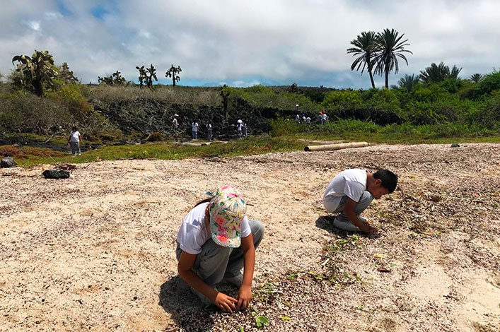 Students of the “Julio Puebla Castellanos” school collecting microplastics on 