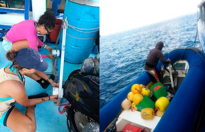 Team prepping the BRUVs and loading the zodiac.