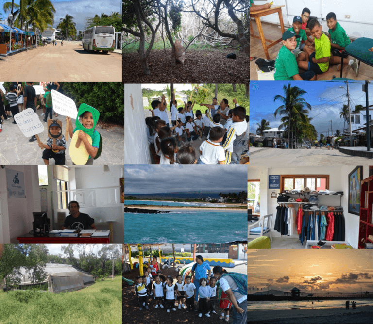 The Charles Darwin Foundation’s activities on Isabela.