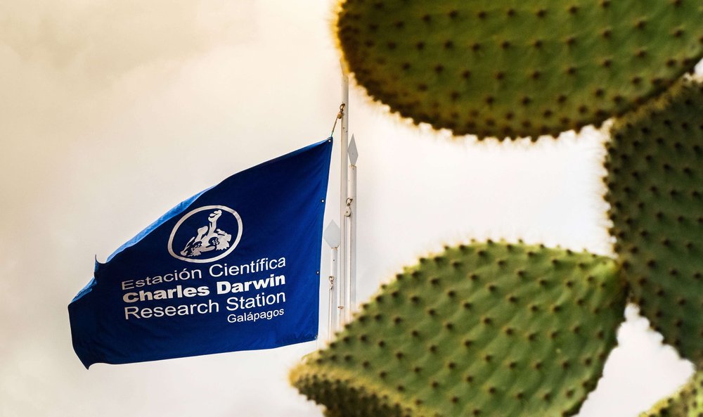 The Charles Darwin Research Station flag on Santa Cruz Island.