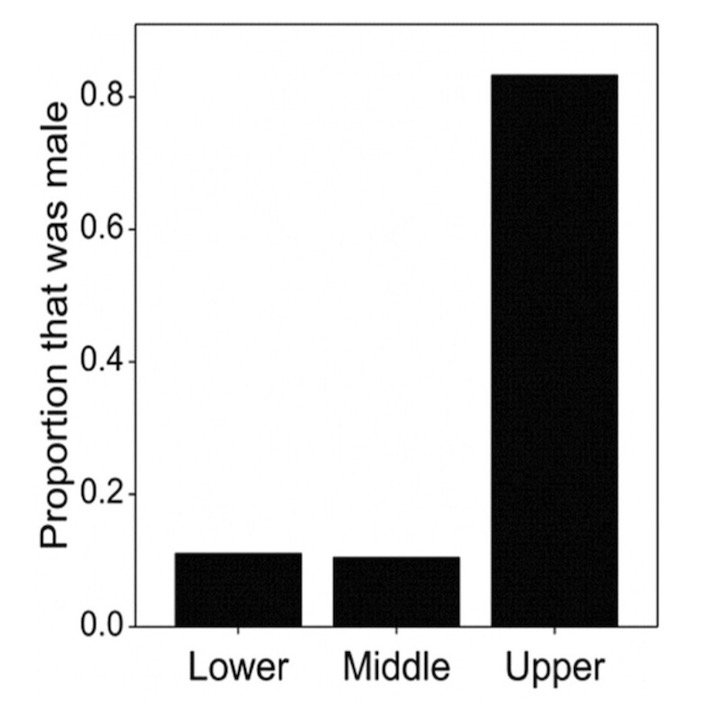 The majority (80%) of juvenile Western Santa Cruz Giant Tortoises in the upper nesting zone were males, whereas in the lower and nesting zones, males made up only 11% and 10% of juveniles, respectively.