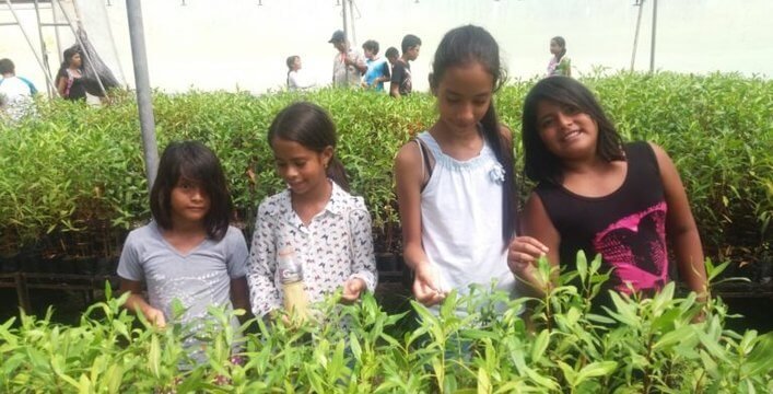 Visit to the Galapagos National Park greenhouse as part of the summer children’s activities organized by the Galapagos National Park.