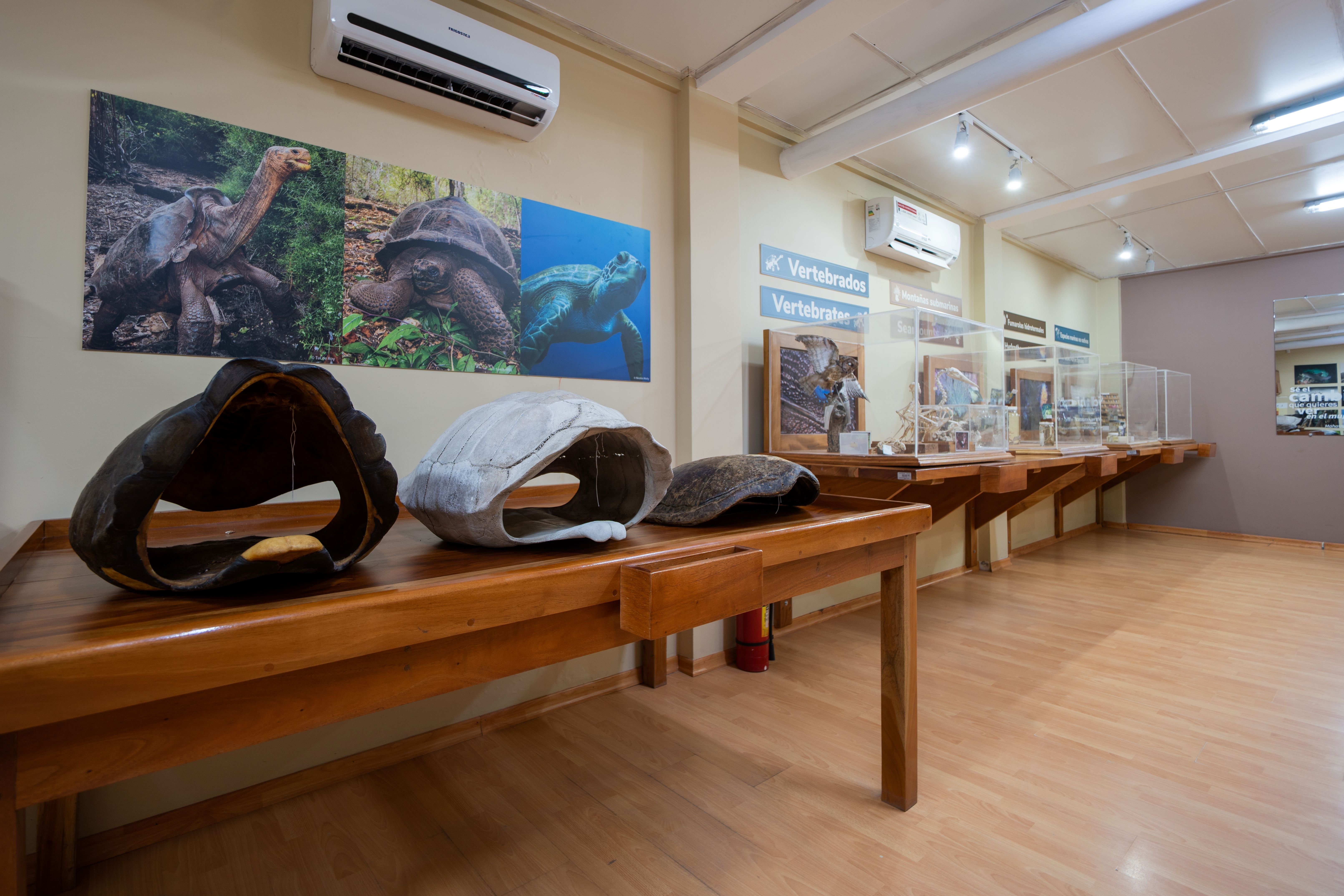 NaturalHistory_ExhibitionHall_DSC8261