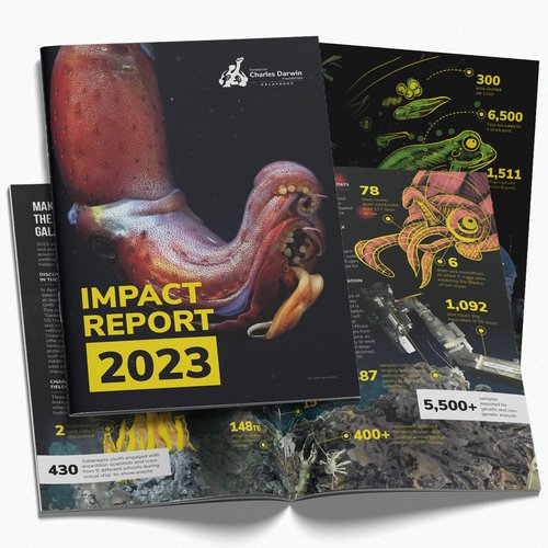 banner-IMP-2023