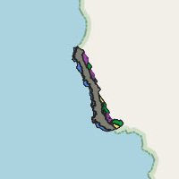 Salvaje Corazón Genovesa C1-24