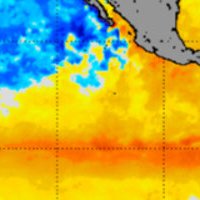 El Niño en las Islas Galápagos: Preparándonos para el próximo evento (Julio 2023)