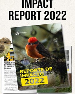 phocathumbnail_ImpactReport_2022.jpg